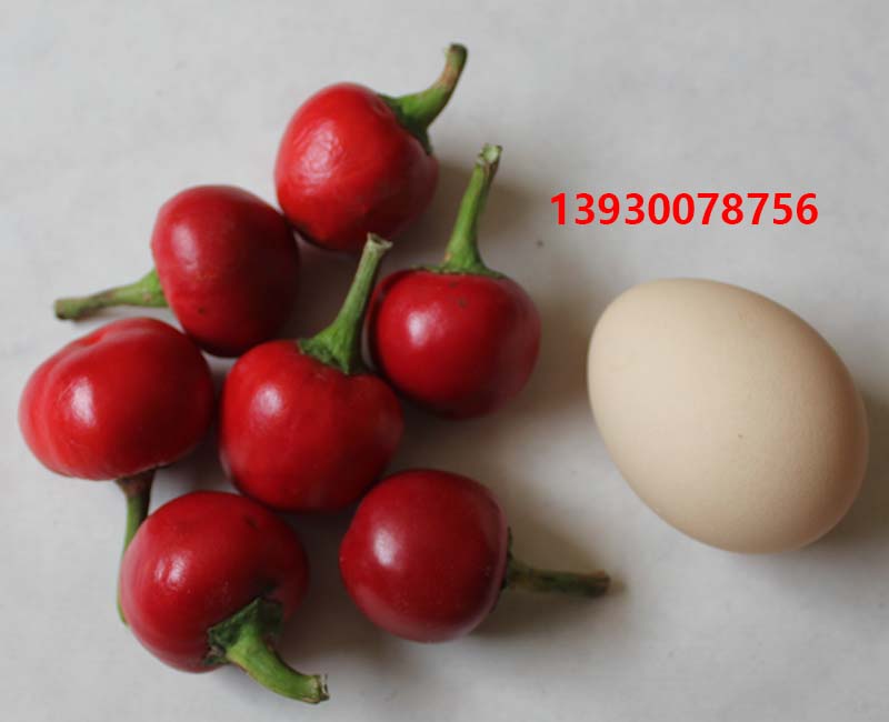 d9962334b34db158e7b376ef40ae544b.jpg
